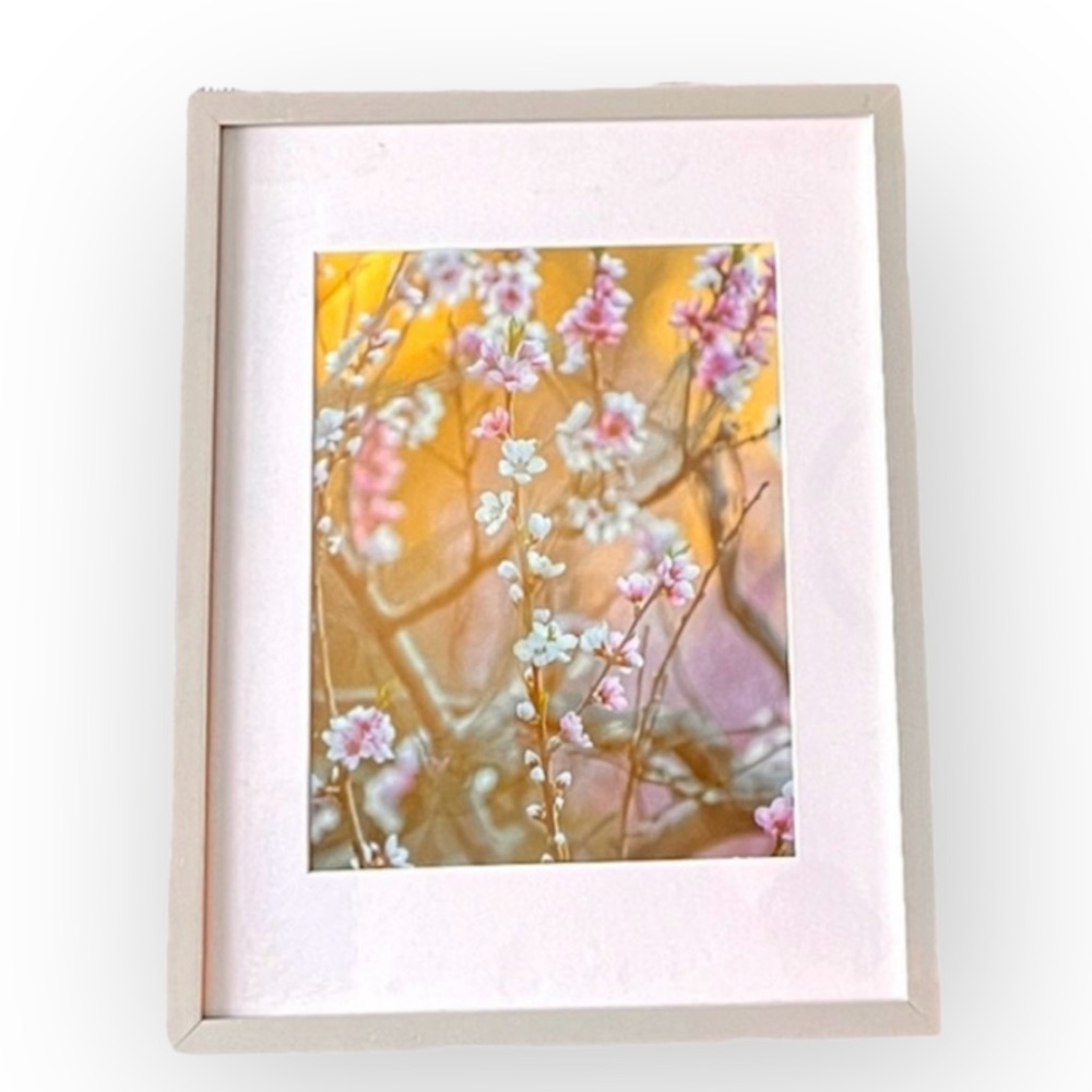 Cherry Blossoms Framed Artwork